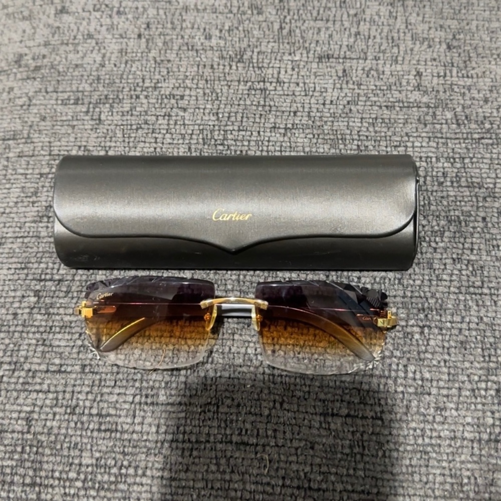 CARTIER BLACK BUFFALO HORN